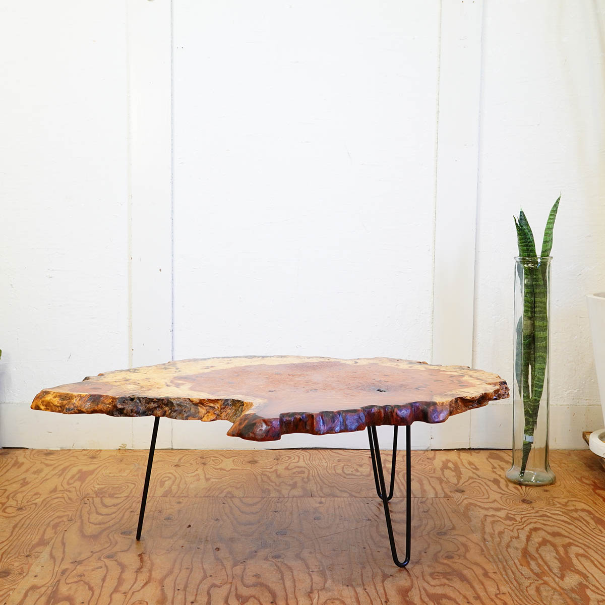 無垢 輪切りの立派なこぶ付き一枚板に新品の鉄脚を付けて作った