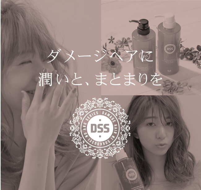 リックス DSSシャンプー&トリートメント 500mLセット