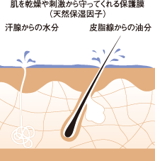 アルグモイストパックEX｜ソフィール美紀