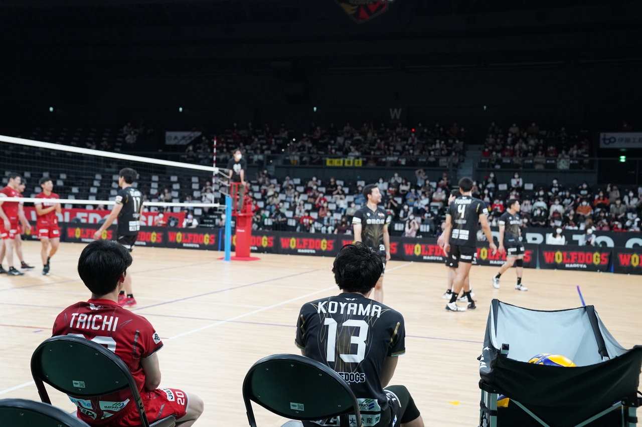 ウルフドッグス名古屋 オフィシャルサイト | ベンチサイドシート