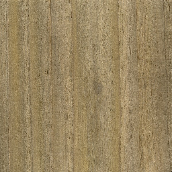 Sumac | The Wood Database (Hardwood)