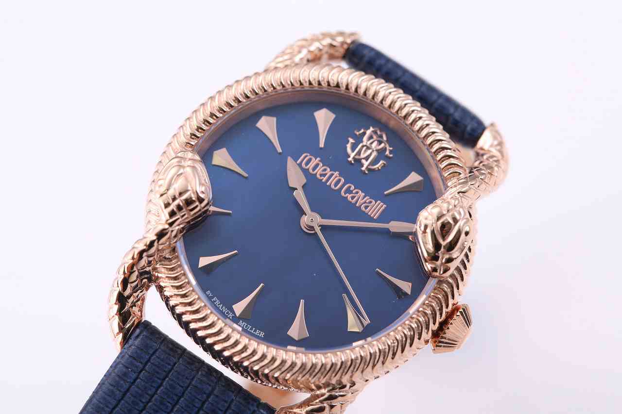 ロベルトカヴァリ バイ フランクミュラー RV1L072L0031 | WATCH WORLD