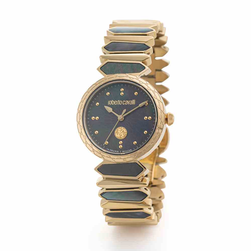 ロベルトカヴァリ バイ フランクミュラー RV1L140M0041 | WATCH WORLD