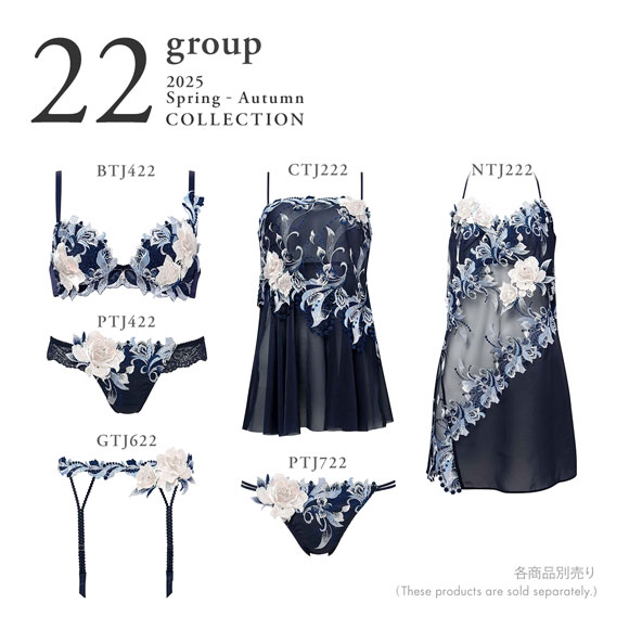 ワコール サルート 22グループ 22G ガーターベルト ランジェリー M