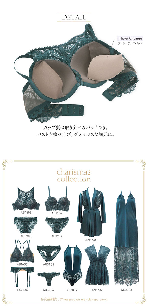 アンブラ ANNEBRA Charisma 2 デコルテレース ブラジャー BCDEFG