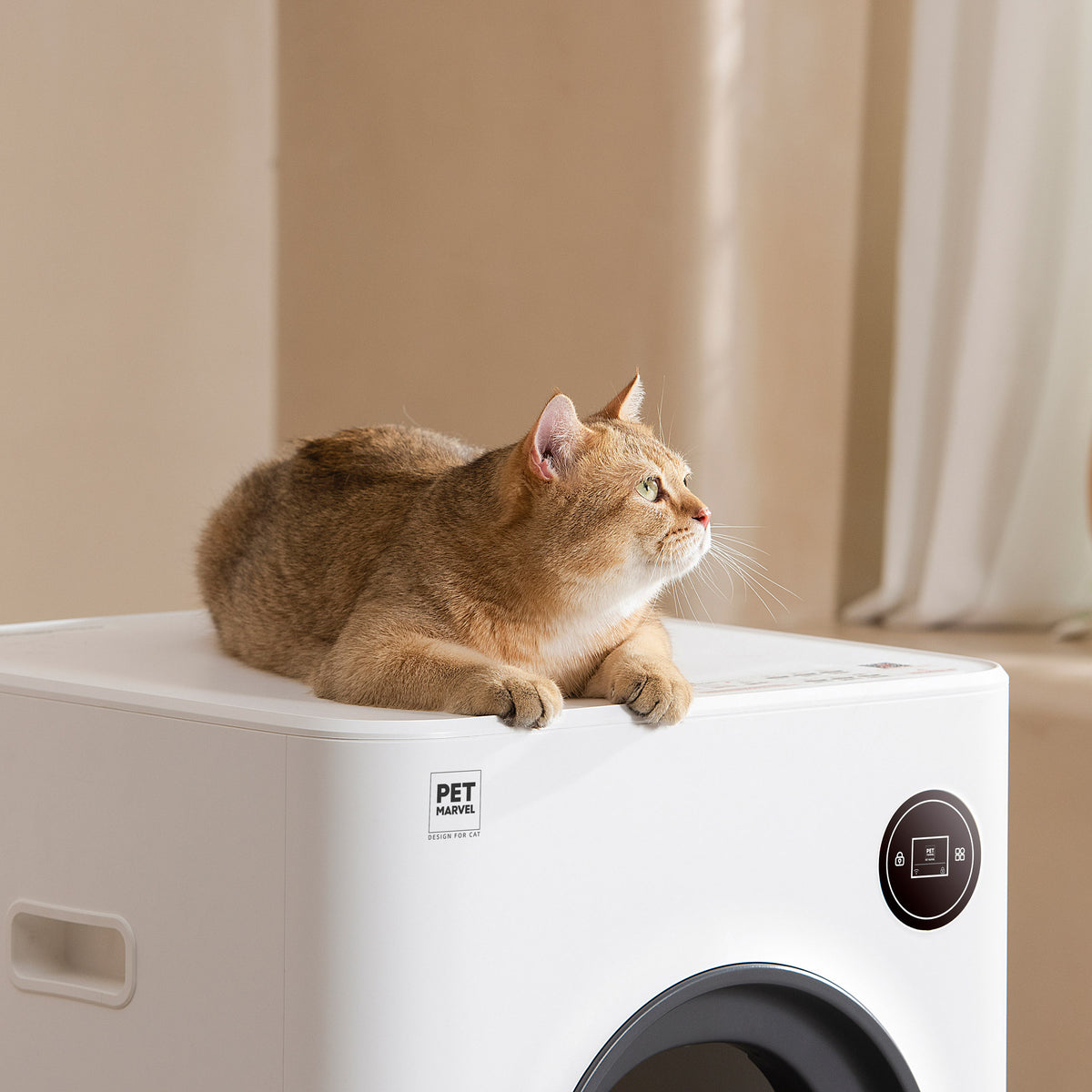 Petmarvel Magic Cube Smart Cat Toilet | Wellbots | Free Shipping