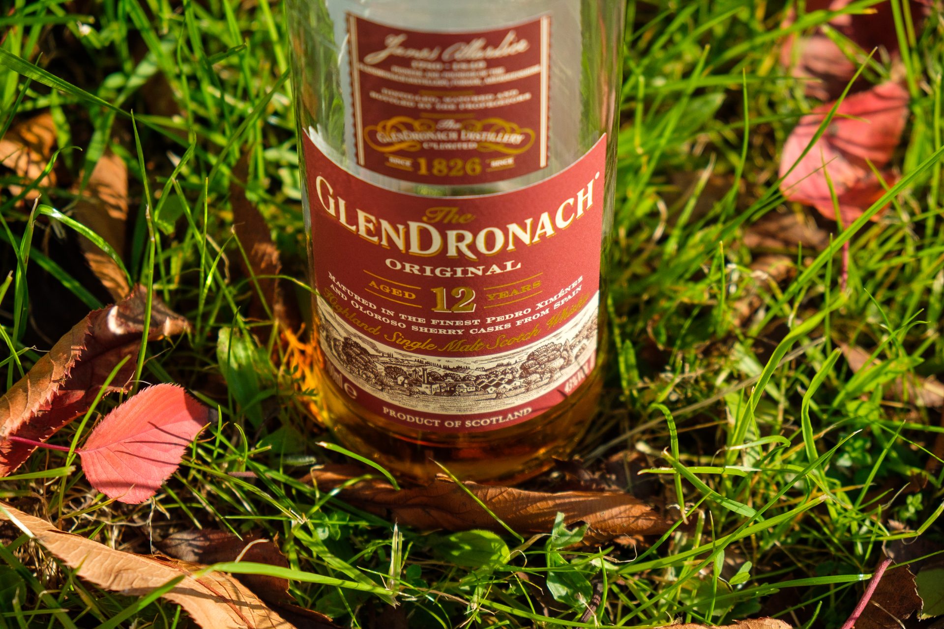 シェリー樽入門】グレンドロナックの味わい、飲み方を紹介