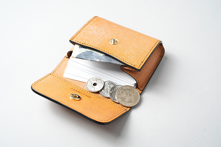 Introducing two compact models from WILDSWANS: TONGUE and ARTHUR