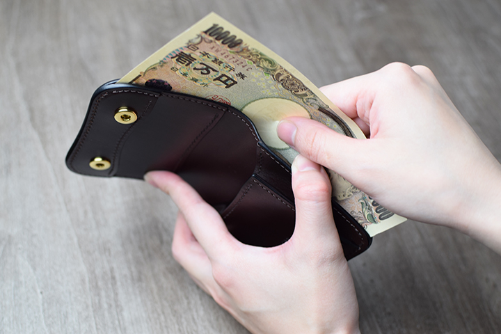 ミニ財布・PALM（パーム）についてのお話1(PALM-V2編) | WILDSWANS