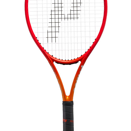 ウインザーオンラインショッププリンス ビースト O3 100 300g（prince