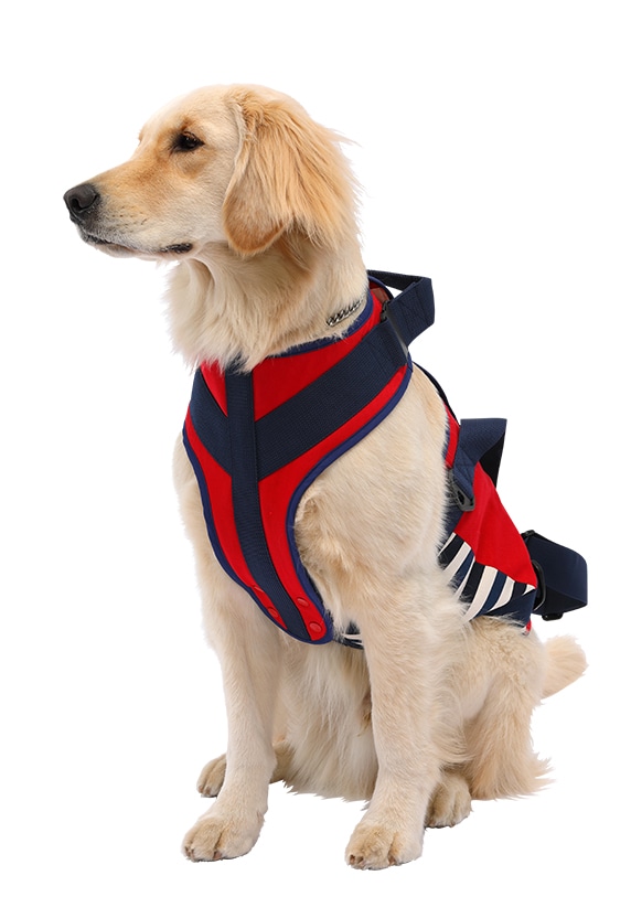 大型犬用 ナチュラルマリン | 歩行補助ハーネス LaLaWalk