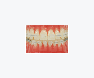 製品情報｜株式会社トミーインターナショナル