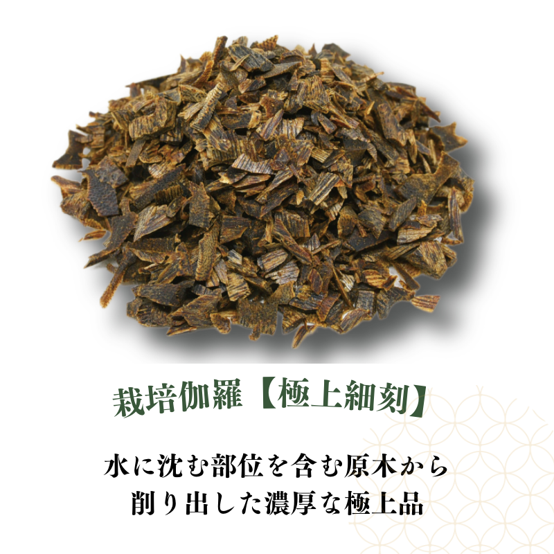 栽培伽羅・沈香【数量限定】