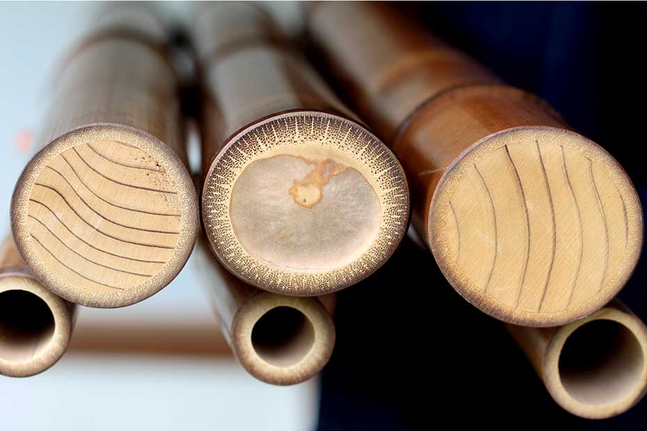 煤竹結界 | 虎斑竹専門店 竹虎