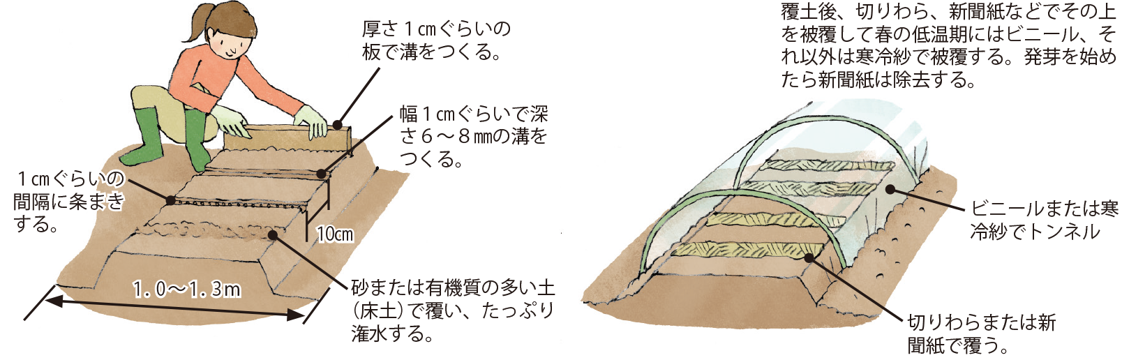 ネギ ｜ イラスト家庭菜園 ｜ 調べる ｜ タキイ種苗株式会社