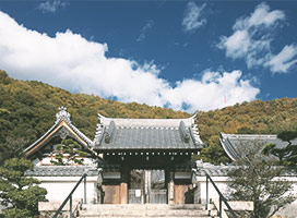 由緒・歴史、ご本尊、双龍図、年間行事のご案内｜岐阜県岐阜市のお寺