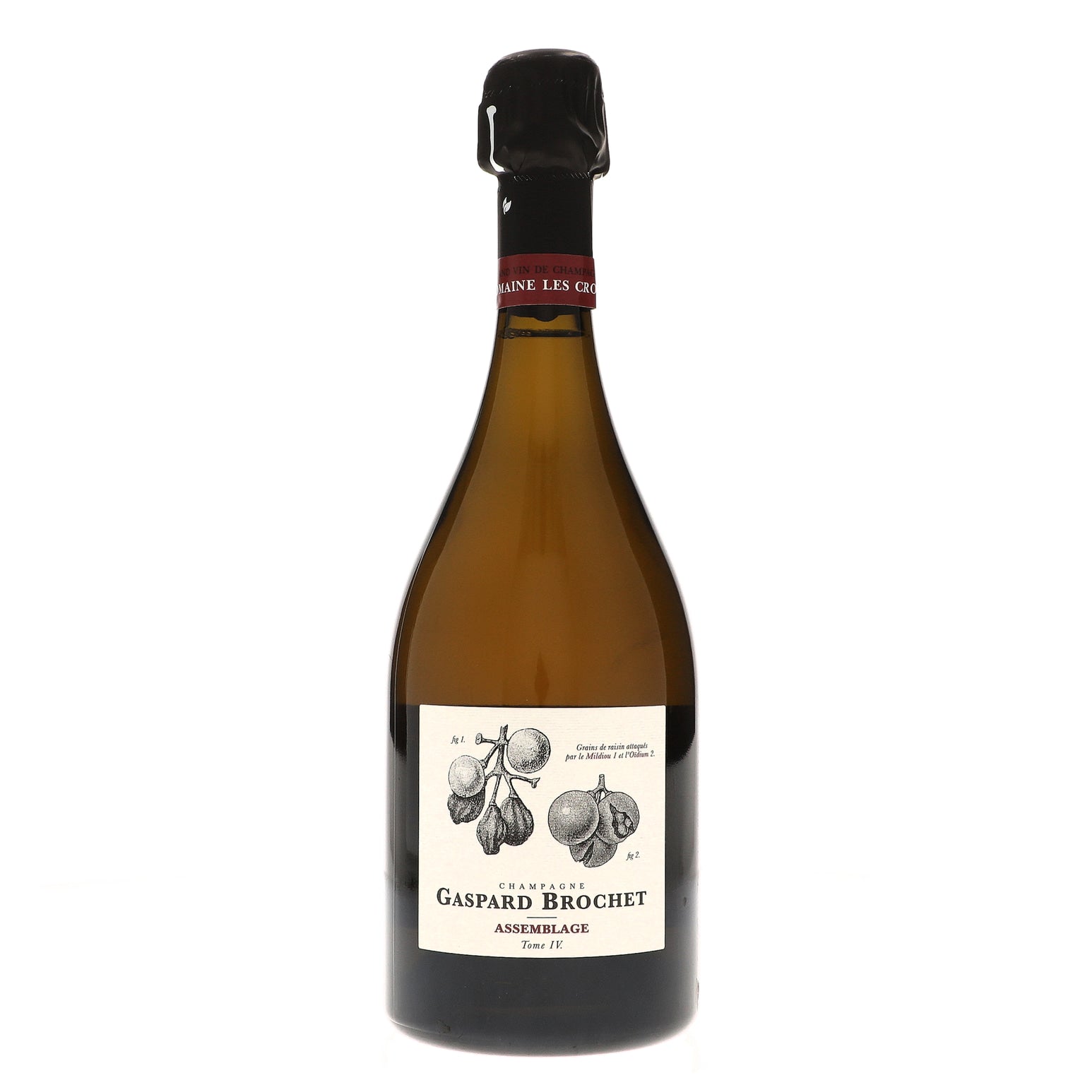 Gaspard Brochet - Champagne Gaspard Brochet – Thatcher's Wine