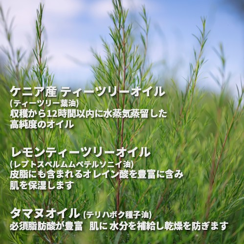 TT スキンクリアリング フェイス ウォッシュ(洗顔料)｜ THE BODY SHOP