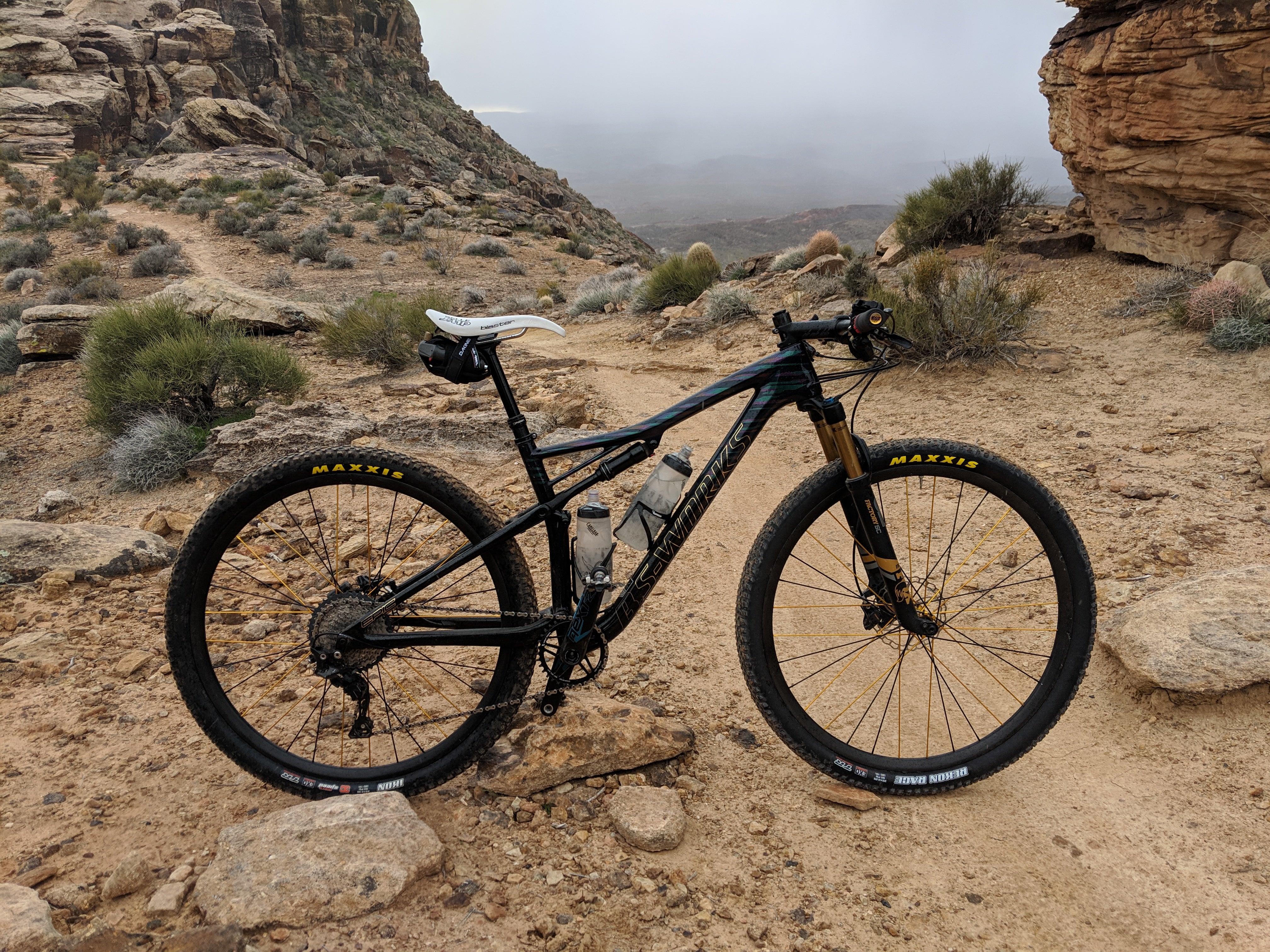 Our Favorite Specialized Bikes | The Pro's Closet