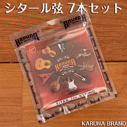 シタール インドの弦楽器 通販 - TIRAKITA.COM