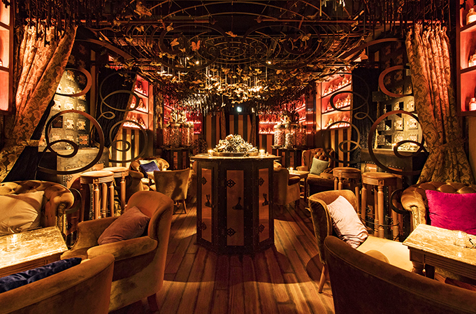 Cafe&Bar Tir na nÓg |銀座にある妖精達の楽園