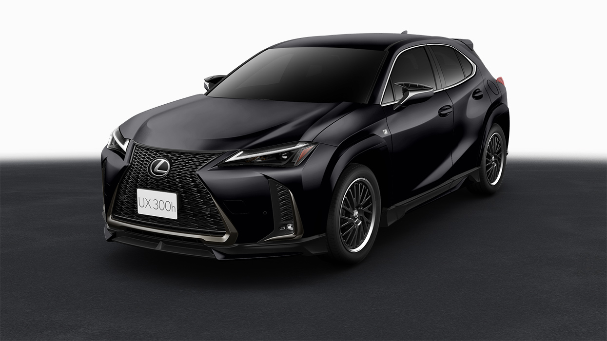LEXUS UX F SPORT PARTS(TRD) | TRD