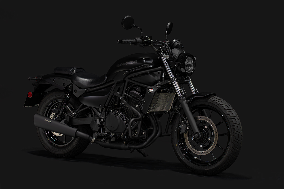 トリックスター / ELIMINATOR/SE (24-26)パイプエンジンガード