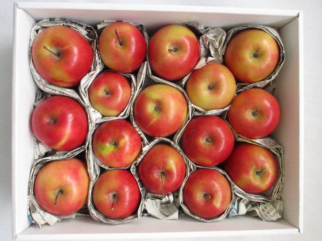 果肉まで赤～いりんごと定番品種のジュース180mL【6種類】｜県産品