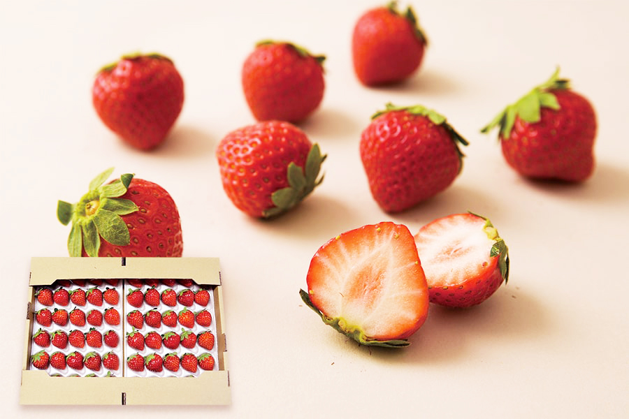 夏いちご すずあかね(40粒〜60粒)