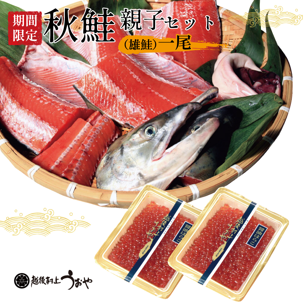 秋鮭（一尾）親子|鮭の町村上で創業200年の老舗 越後村上うおや