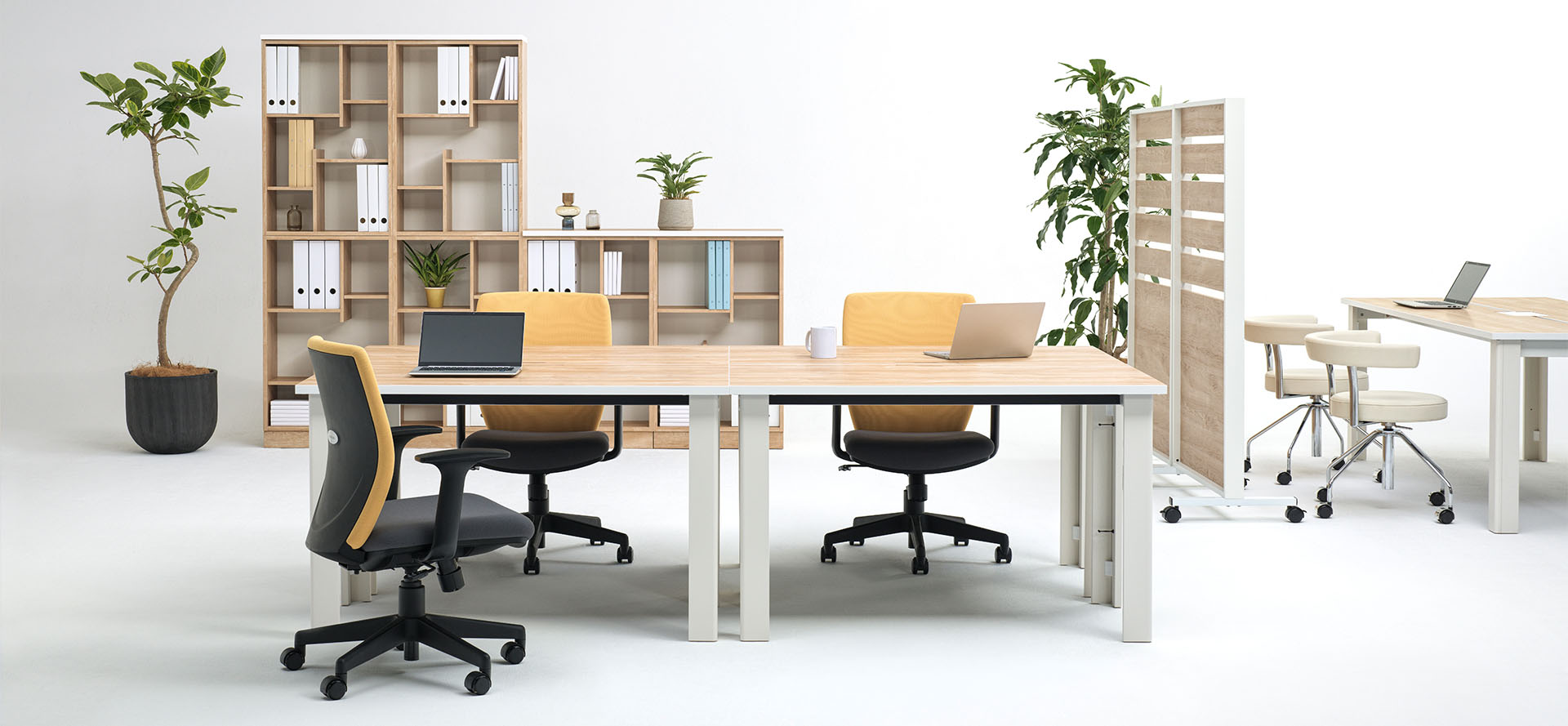 Holis（ホリス） | Valvanne (バルバーニ)商品紹介VALVANNE (バルバーニ)