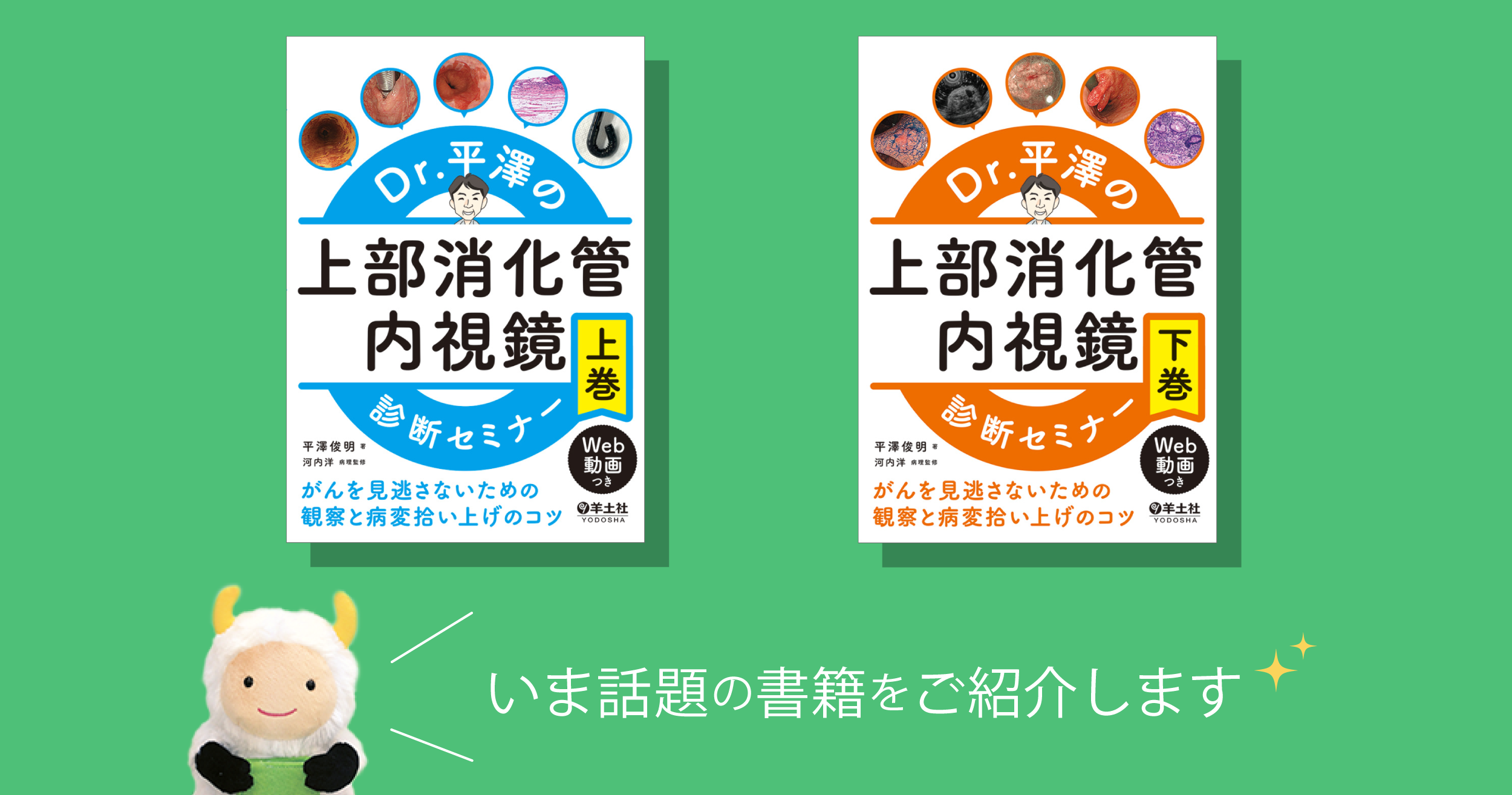 内視鏡を握る医師必携の実践本。会話形式の解説、美麗な画像、手技動画