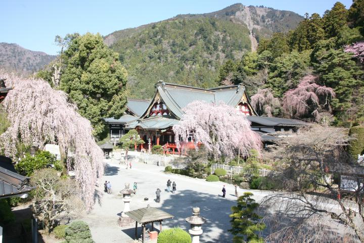 身延山久遠寺／富士の国やまなし観光ネット 山梨県公式観光情報