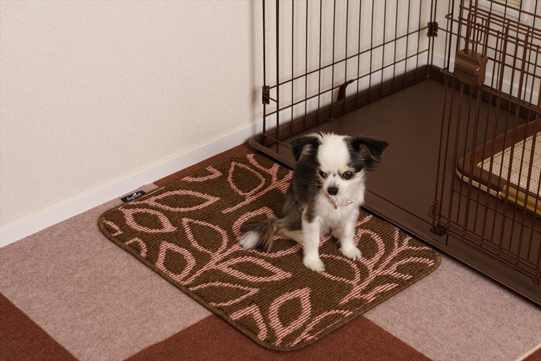 リーフレッシュ消臭マット スクエア 45×60 | 山崎産業株式会社 家庭