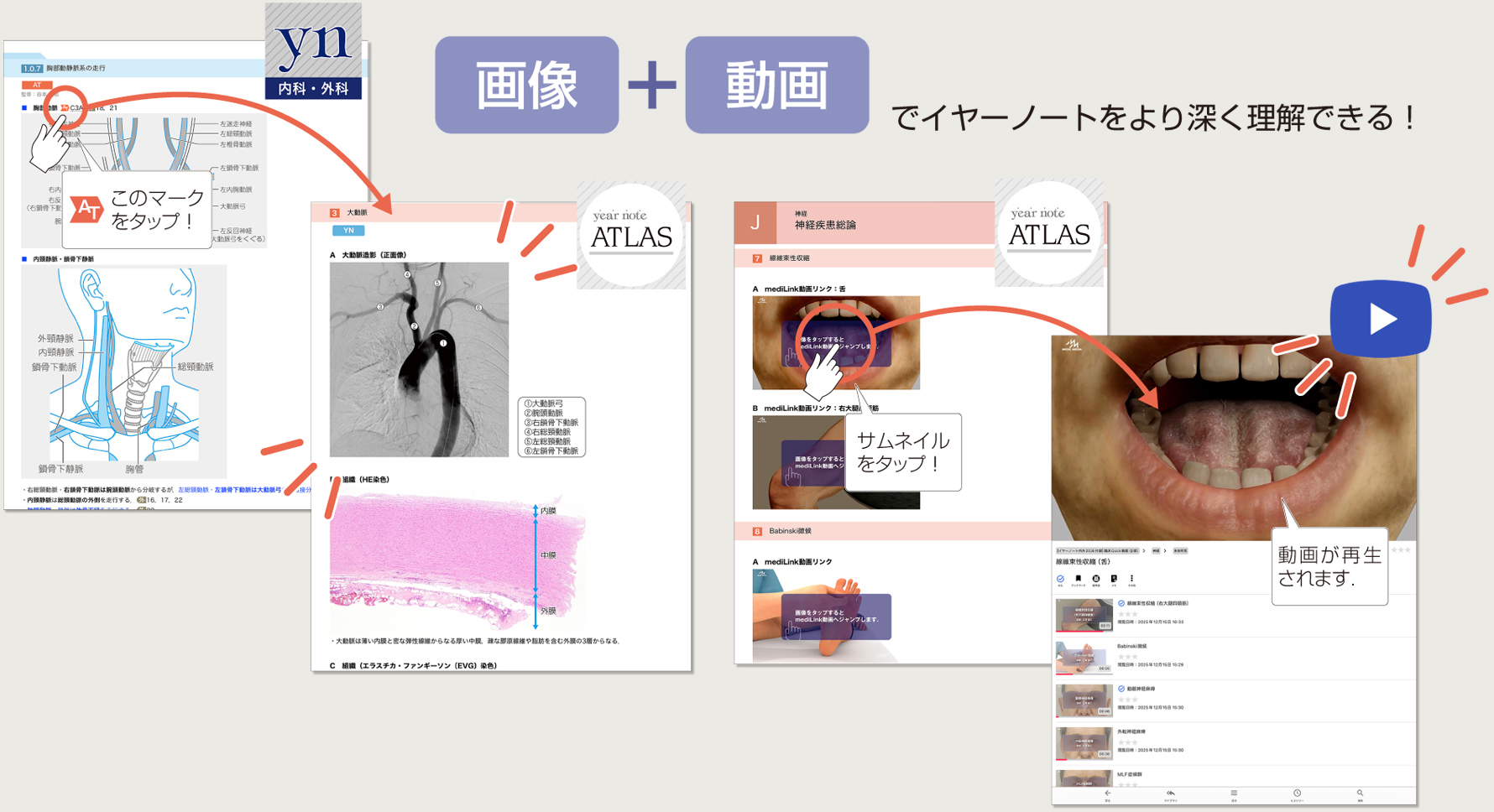イヤーノート 内科・外科 | yearnote イヤーノート