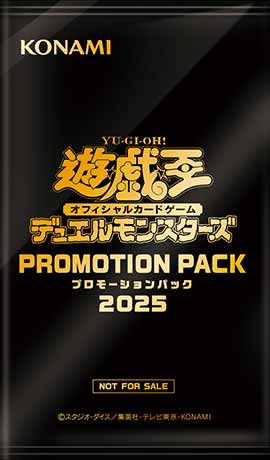 遊戯王OCG 日本選手権 2025【チーム戦】東京予選 2nd | イベント・大会