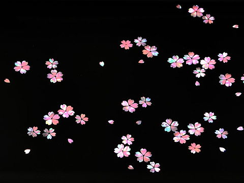 略式結納 たまてばこ桜セット