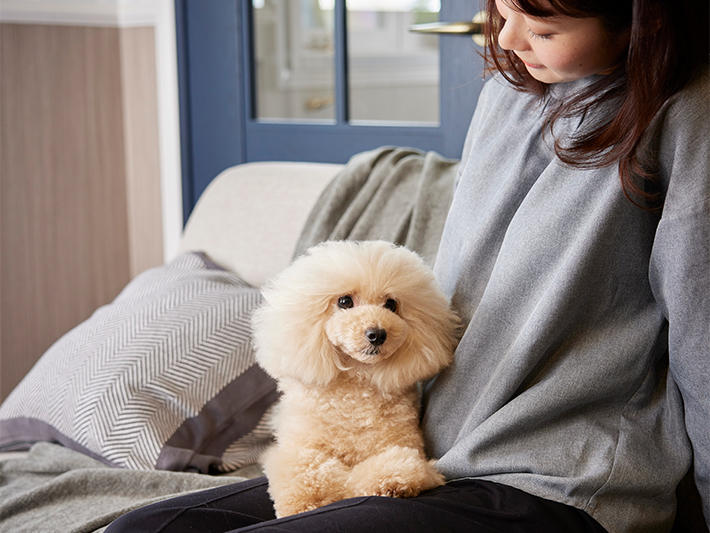 ゾイック カシミヤタッチ専用詰替えボトルプレゼントキャンペーン応募