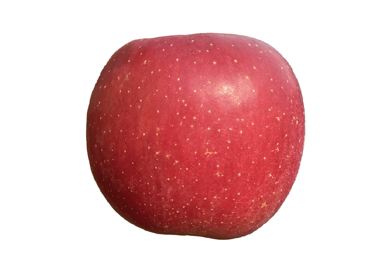 りんごについて - ヤマホンそりまち農園