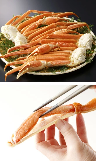 極上ボイルズワイガニ（ずわいがに足）4L6肩 オホーツク マガダン海域