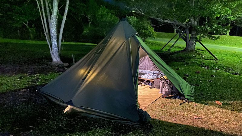 onetigris conifer ワンティグリス コニファー 【公式通販】