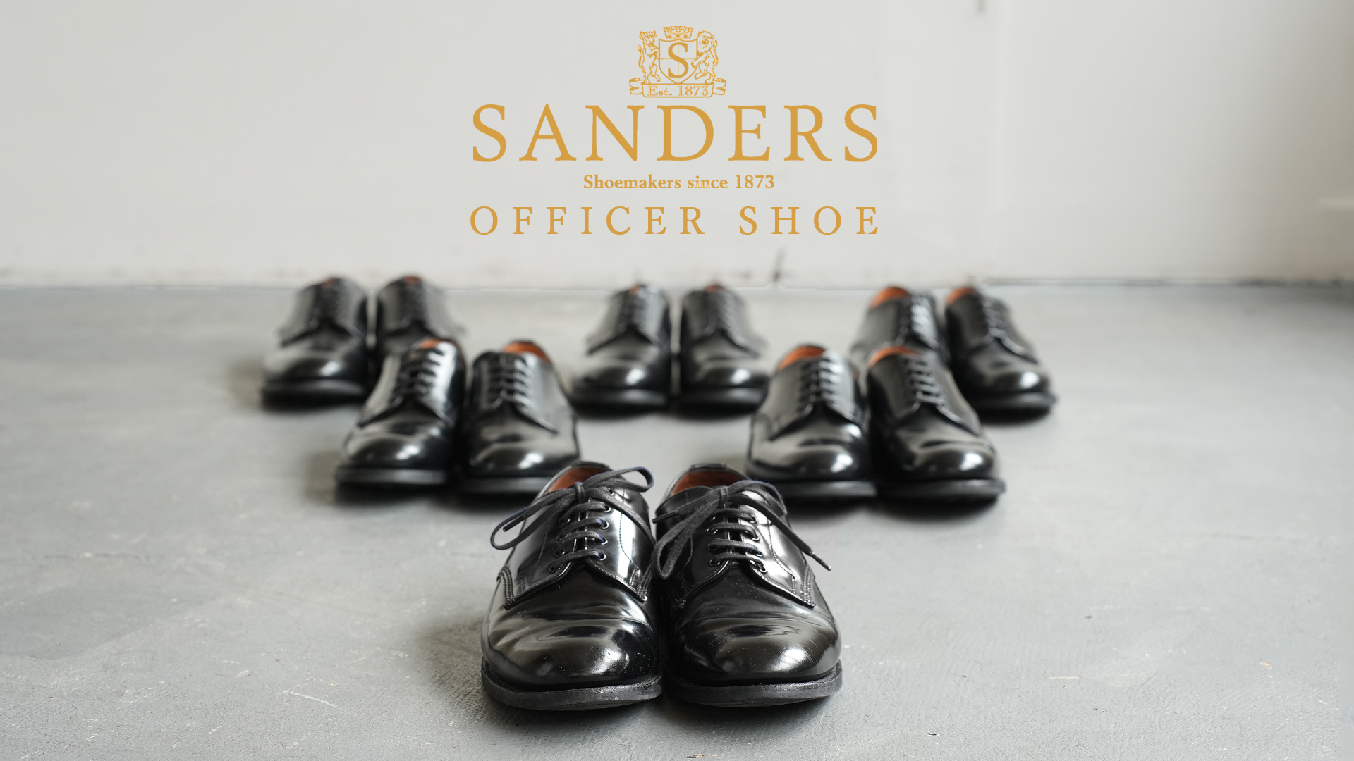 俺達のSANDERS（サンダース） - ZABOU BLOG