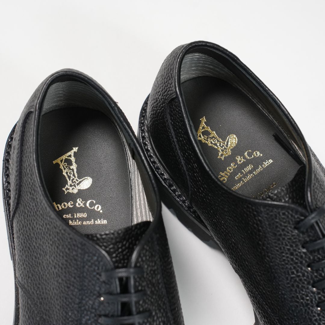 Regal Shoe&Co.（リーガルシューアンドカンパニー） ストレートチップ