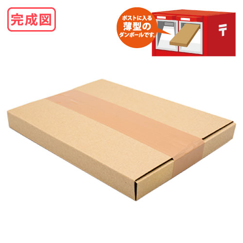 ZAP タトウ式(ヤッコ型)メール便ケース ネコポスA5 【厚み24mm】235