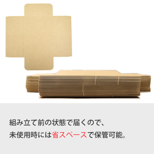 ZAP タトウ式(ヤッコ型)メール便ケース ネコポスA5 【厚み24mm】235