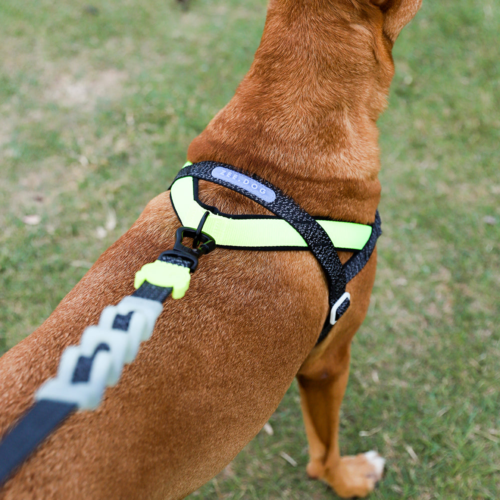 999161 NOX SOFTER WALK HARNESS S ノックス ソフターウォークハーネス