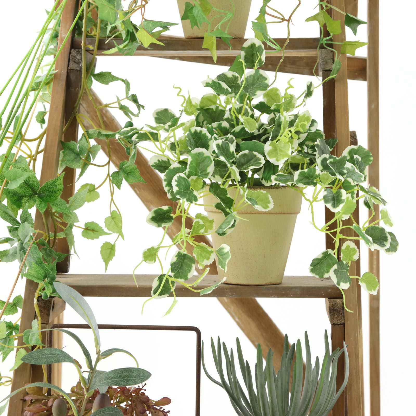 プミラ（小葉の観葉植物） | プレミアム光触媒フェイクグリーン 造花