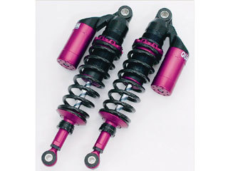 QUANTUM PB-Twin: Kawasaki ZRX1200 DAEG カスタムパーツ通販