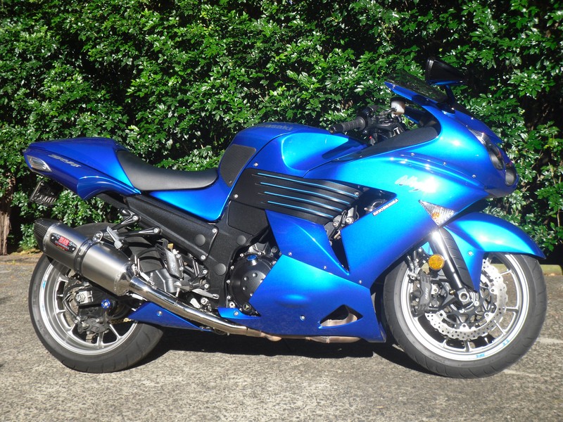 Yoshi Slip On Issue.