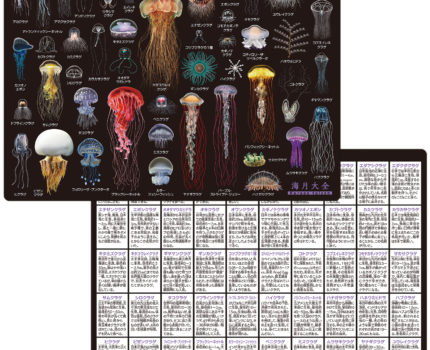 海月大全 – 株式会社ザ・アクセス-TheACCESS-